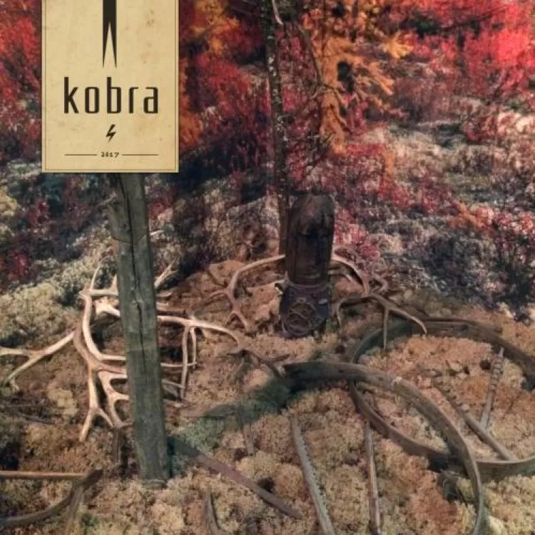 Kobra - Молния, обложка альбома