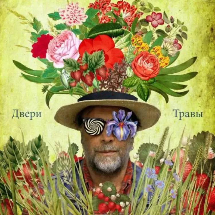 Аквариум - Двери и травы, обложка альбома